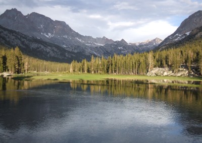 evolution meadow - photo Paul Sherman